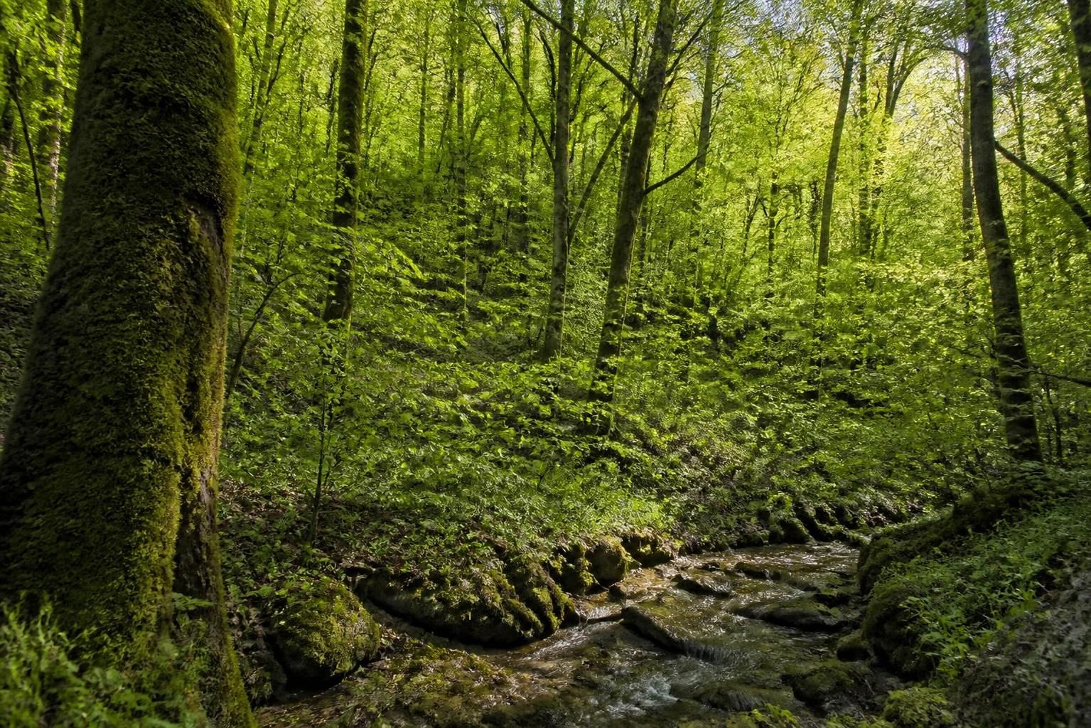 découvrez les tendances écologiques du printemps 2025 qui façonnent un avenir durable et responsable. innovations, modes de vie et solutions vertes au cœur des changements environnementaux.
