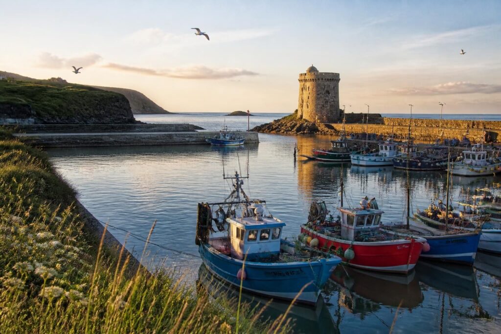 découvrez saint vaast la hougue, un joyau maritime alliant richesse historique et nature préservée, idéal pour les amoureux de patrimoine et de paysages authentiques.