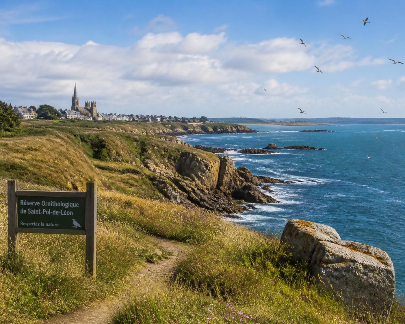 saint-pol-de-léon séduit les amoureux de la nature et de l’écologie grâce à ses paysages préservés, sa biodiversité riche et ses initiatives écologiques engagées. découvrez une ville où l’harmonie avec l’environnement est une priorité.
